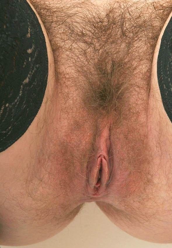indian hairy pussy galleries