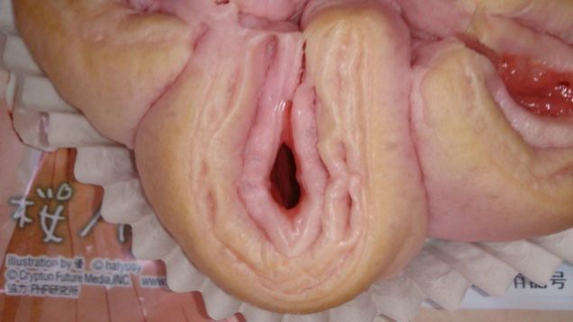 a women vagina tampon inside