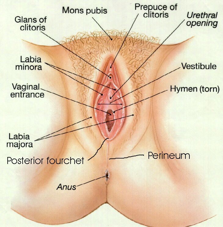 virgin vagina penetration