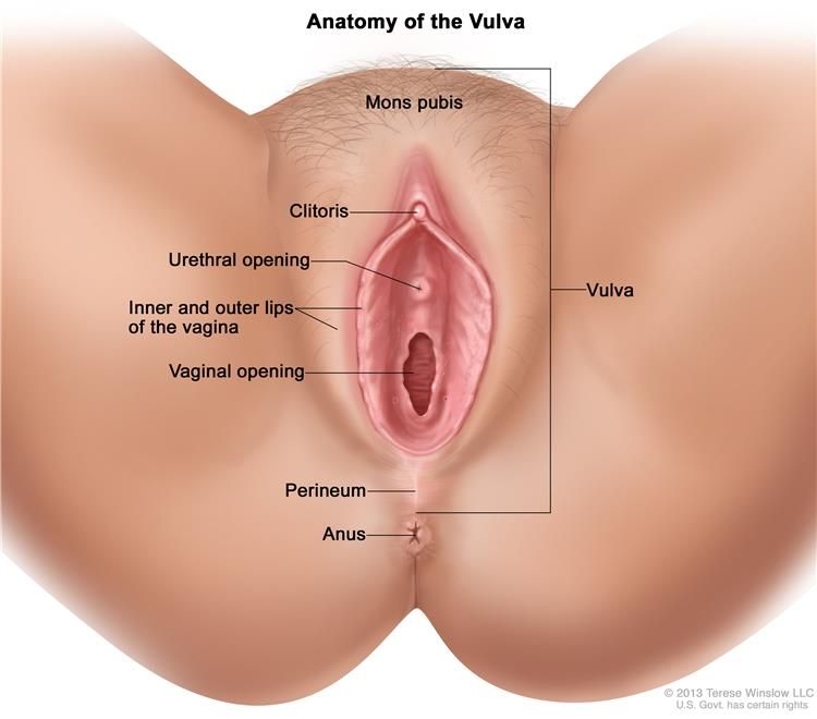vulvar location