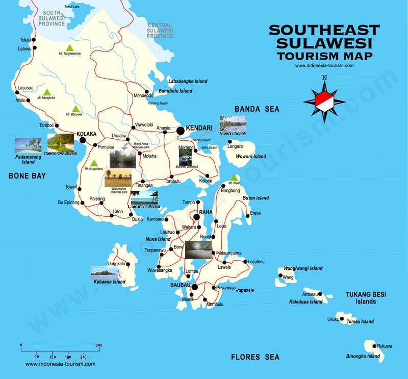 palu indonesia map