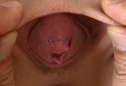 penis inside vagina